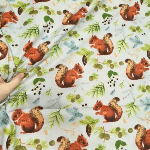 Veverice na sivoj NOVO - Slika 2