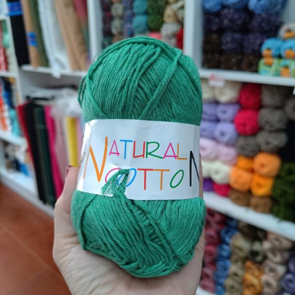 Diva natural prolećna zelena - Slika 1